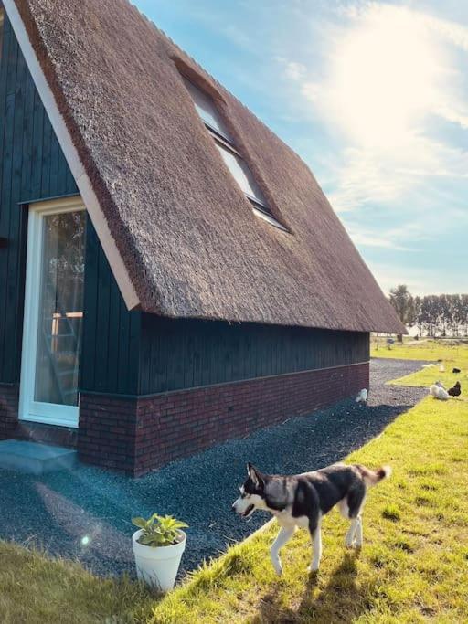 لوينين ان دي فيتشت Cozy Appartment On The Farm المظهر الخارجي الصورة