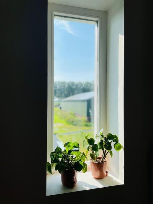 لوينين ان دي فيتشت Cozy Appartment On The Farm المظهر الخارجي الصورة